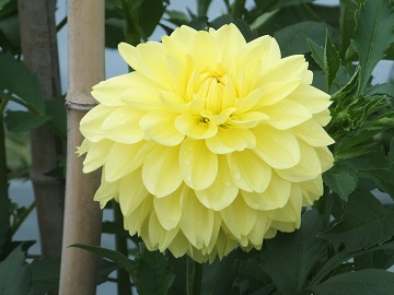 201710hn4